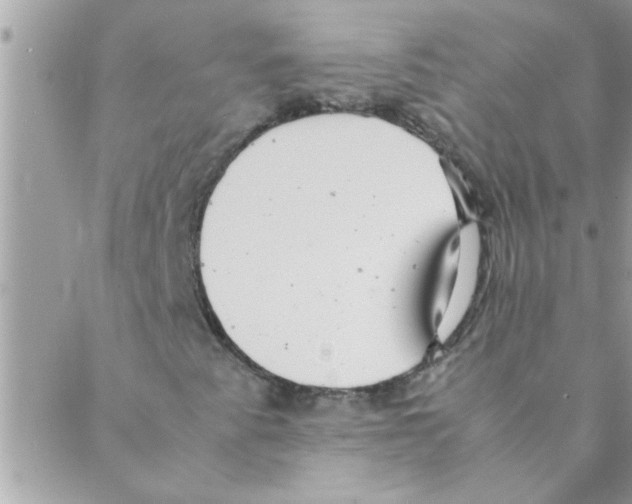 X0000088231345200706121846