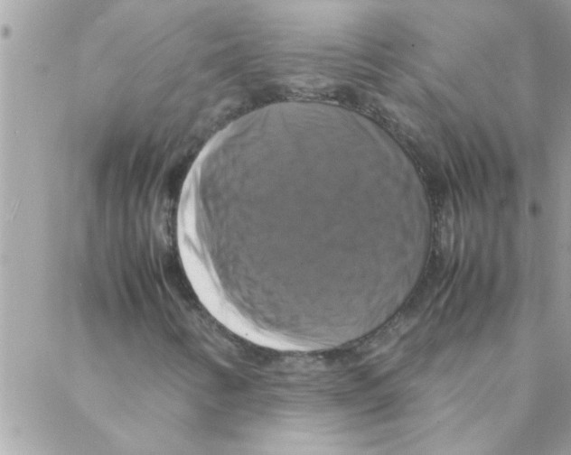 X0000088231346200706121846