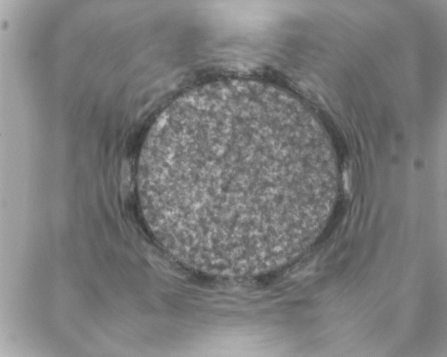 X0000088231347200706121846