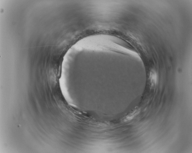 X0000088231348200706121846