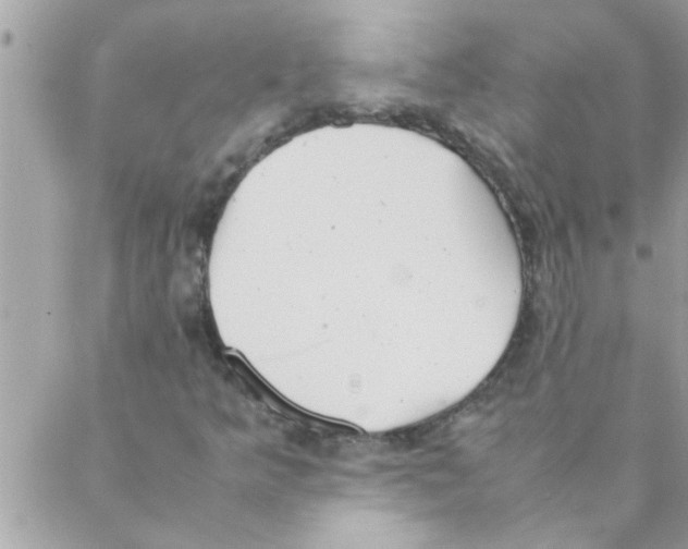 X0000088231349200706121846