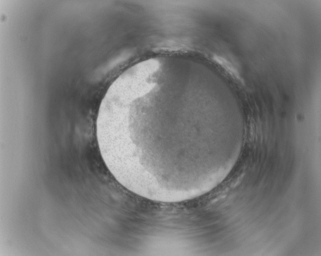 X0000088231350200706121846