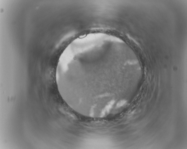 X0000088231351200706121845