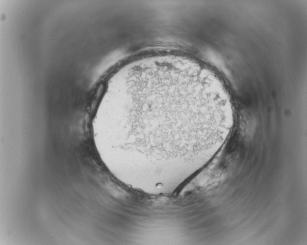 X0000088231352200706121845