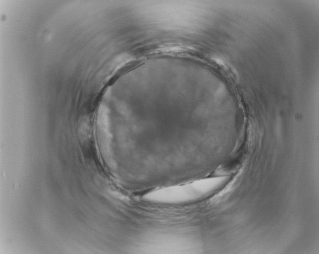 X0000088231353200706121845