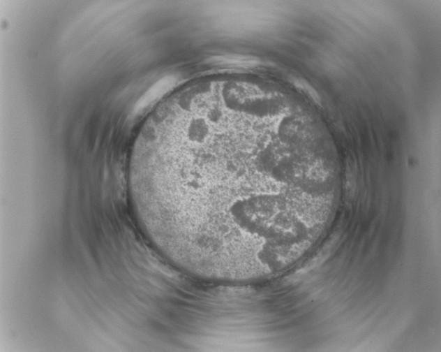 X0000088231354200706121845