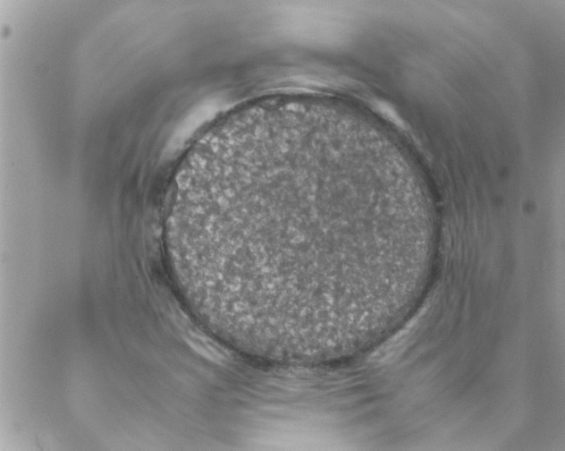 X0000088231355200706121845