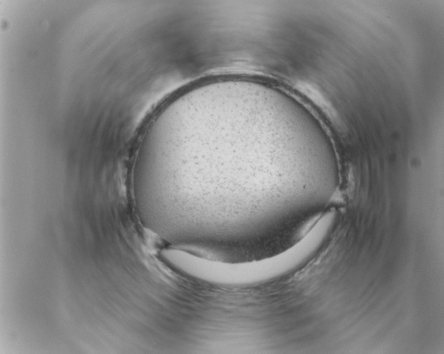 X0000088231356200706121845