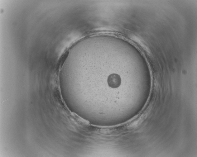 X0000088231357200706121845