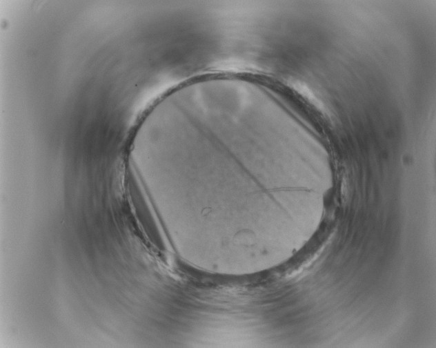 X0000088231358200706121845