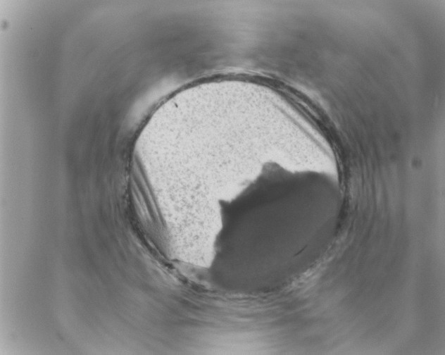 X0000088231359200706121845