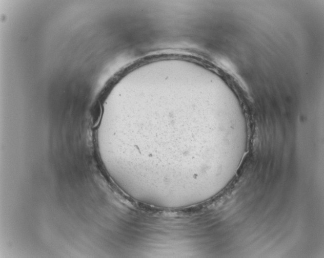 X0000088231360200706121845