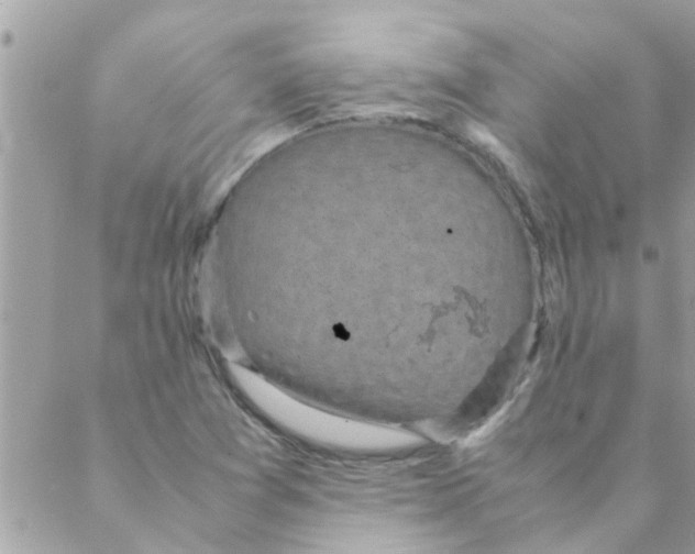 X0000088231361200706121845