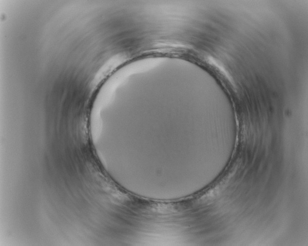 X0000088231362200706121845