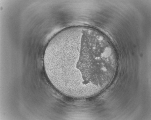 X0000088231363200706121845