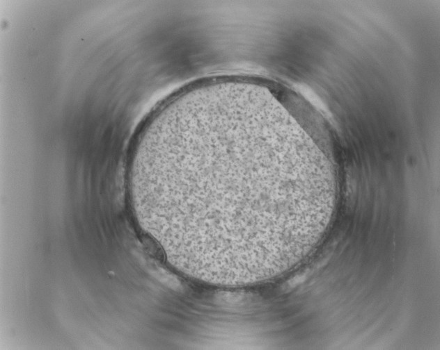 X0000088231364200706121845