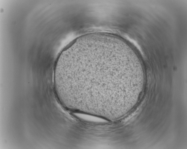 X0000088231365200706121845