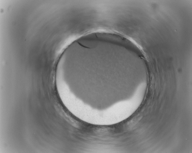 X0000088231367200706121845