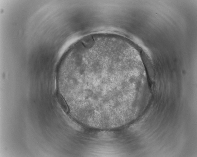 X0000088231368200706121845