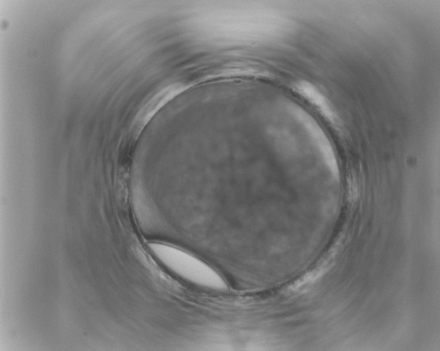 X0000088231369200706121845