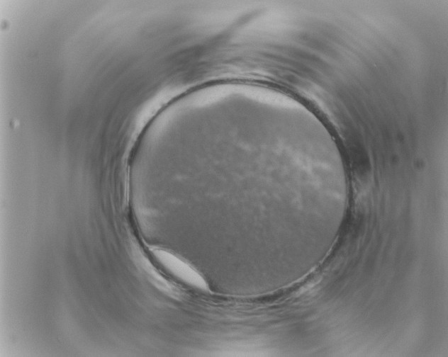 X0000088231371200706121845