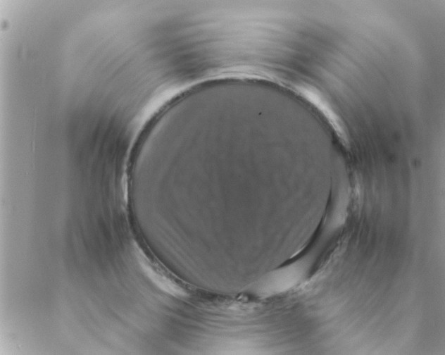 X0000088231372200706121845