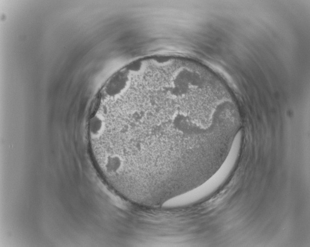 X0000088231375200706121845