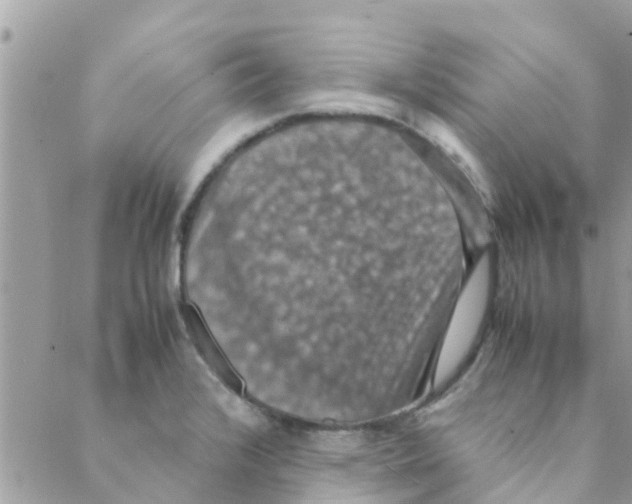 X0000088231376200706121845