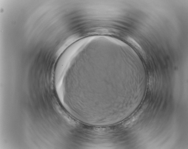 X0000088231378200706121845