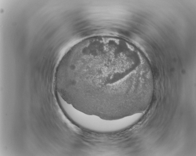 X0000088231379200706121845