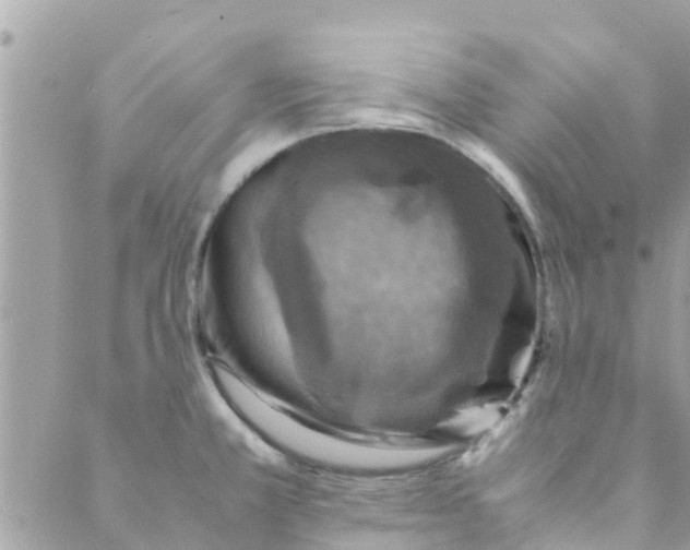 X0000088231381200706121845