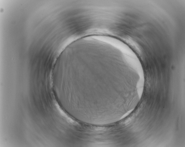 X0000088231382200706121845