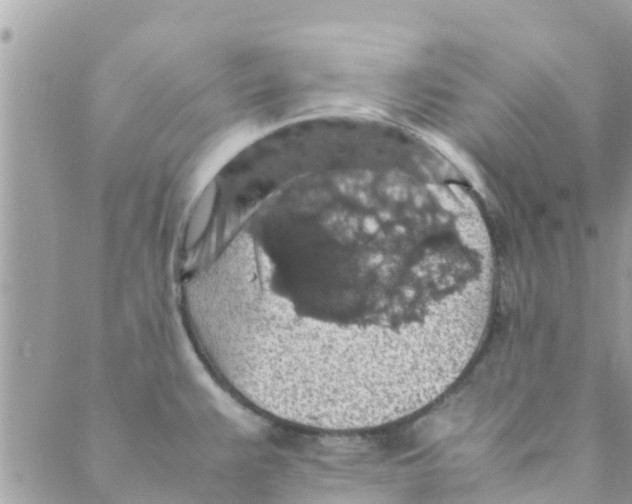 X0000088231383200706121845