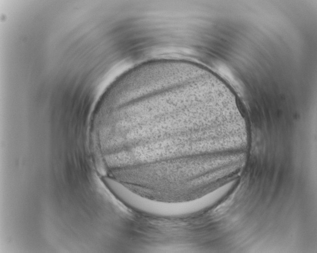 X0000088231384200706121845