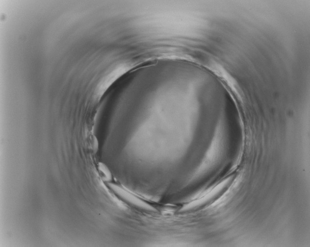 X0000088231385200706121845