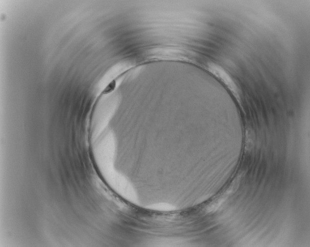 X0000088231386200706121845