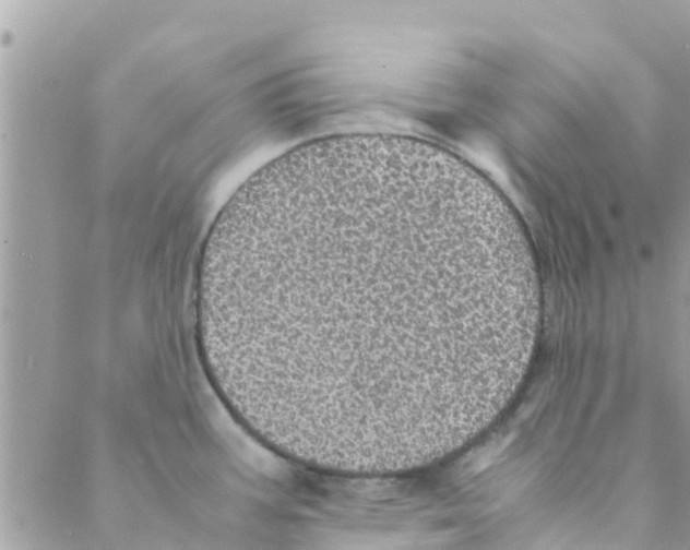 X0000088231387200706121845