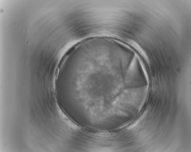 X0000088231388200706121845