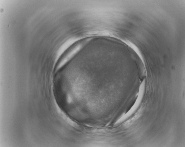 X0000088231389200706121845