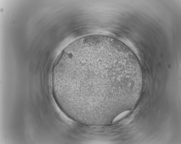 X0000088231391200706121845