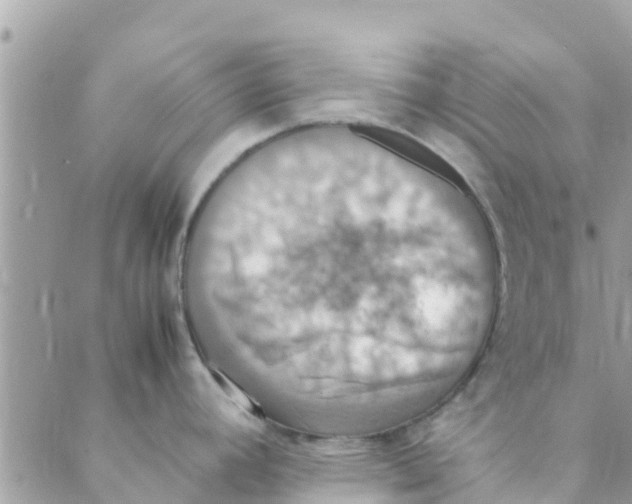 X0000088231392200706121845