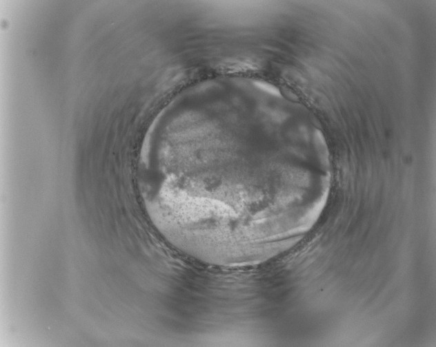 X0000088231393200706121844