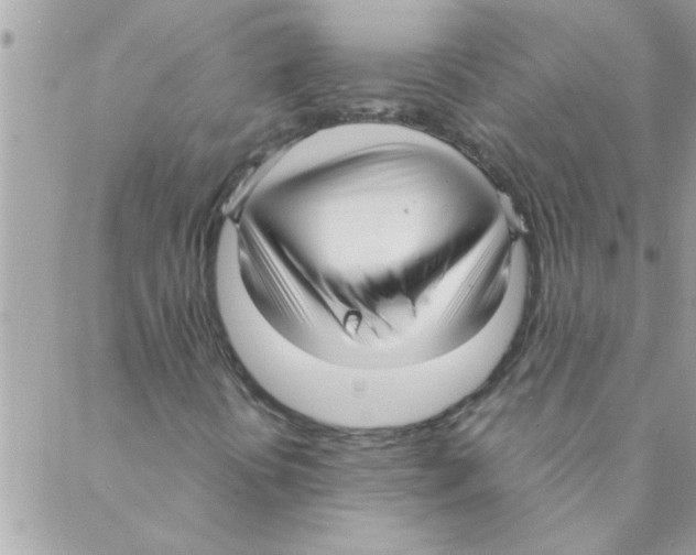 X0000088231394200706121844