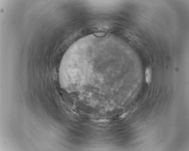 X0000088231395200706121844