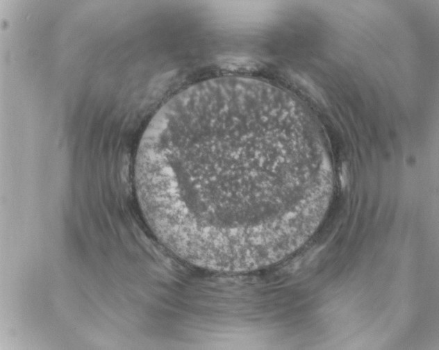 X0000088231396200706121844