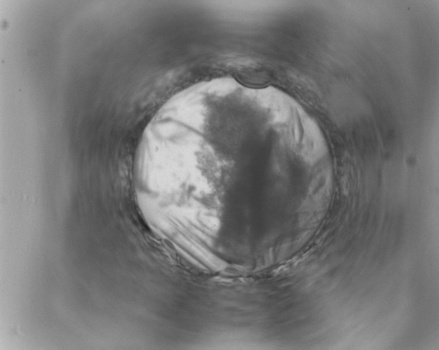 X0000088231397200706121844