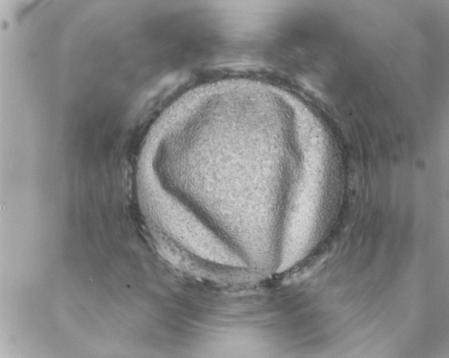 X0000088231398200706121844