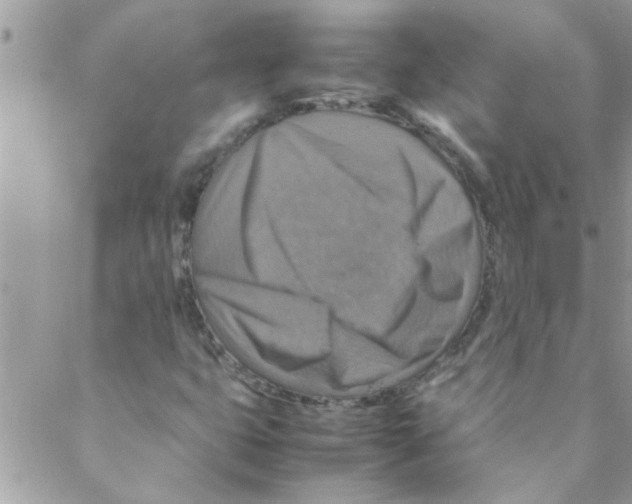 X0000088231399200706121844