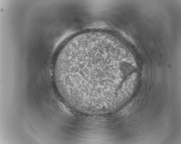 X0000088231400200706121844