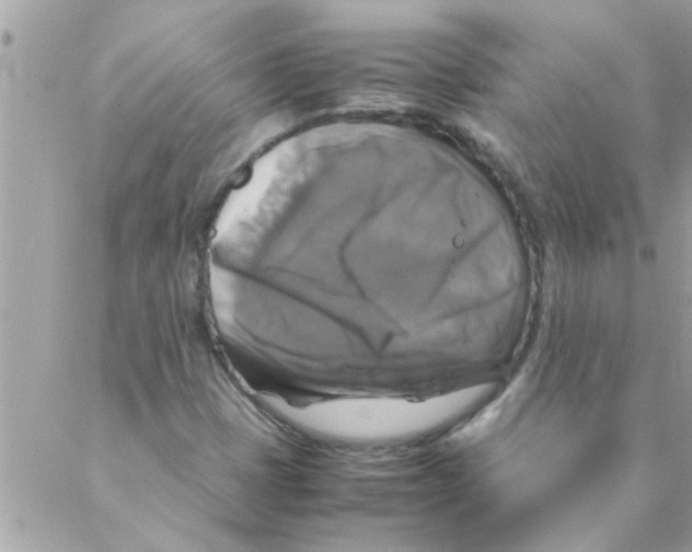 X0000088231401200706121844